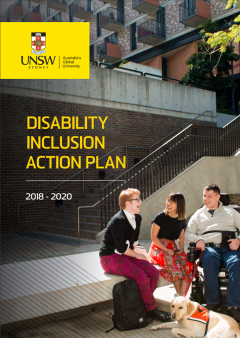 UNSW branded document for DIAP 2018-2020 with a group of people sat on wall at the bottom of some concrete stairs