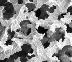 Synthesis of Highly Porous Polymer Nanocomposite Foams Reinforced with Graphene Oxide