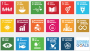 The 17 UN SDGs icons