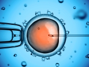 Artificial insemination 3d illustration