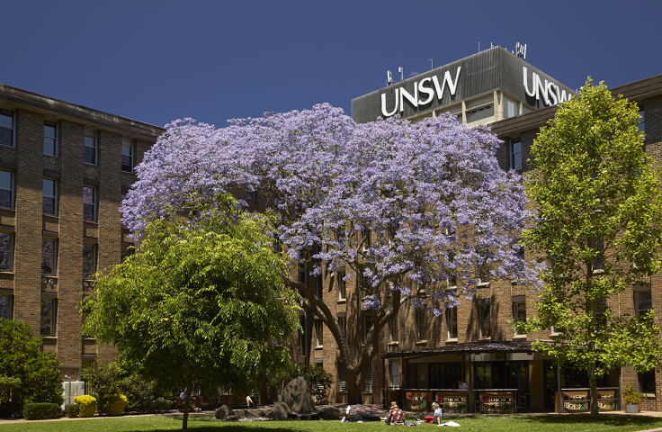 A big purple Jacaranda Tree outside Morven Brown Building with UNSW written on the top of the building 