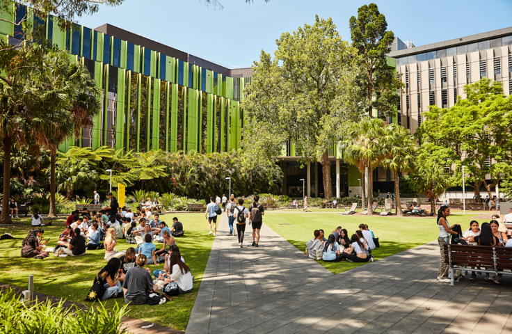 Green campus with students sitting on the lawn