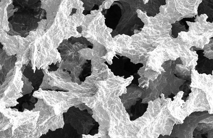 Synthesis of Highly Porous Polymer Nanocomposite Foams Reinforced with Graphene Oxide