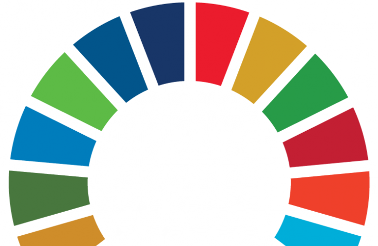 Wheel of colour swatches that represent the 17 SDGs