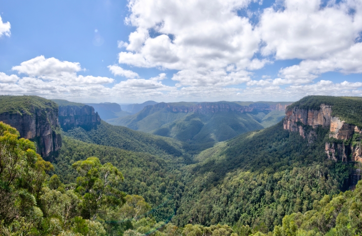 View over the tree canopy of the Blue Mountains, NSW