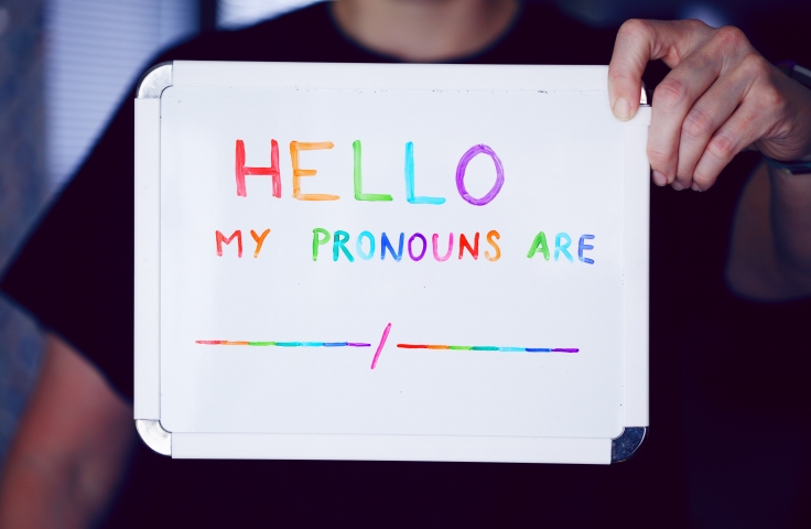 A person is holding a sign that says, in rainbow text, 'Hello, my pronouns are'